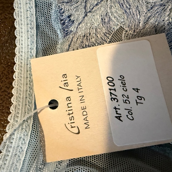 Cristina Laia Blue Embroidered Thong Panty L NWT - Picture 2 of 3